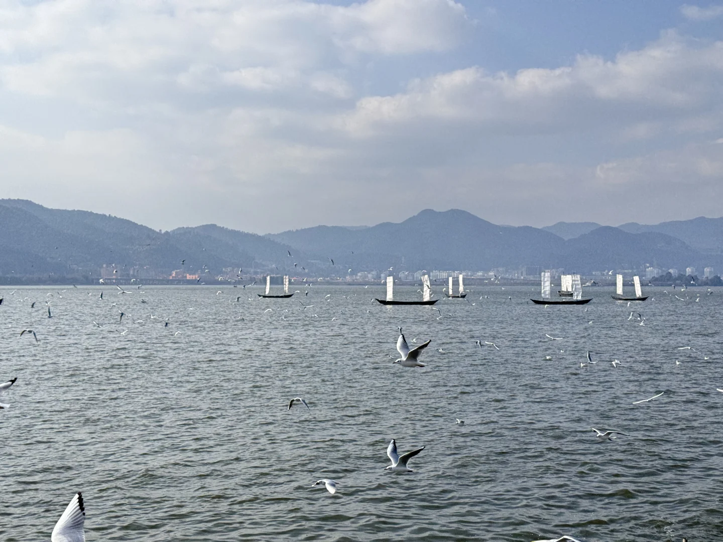 昆明免费景点你值得拥有