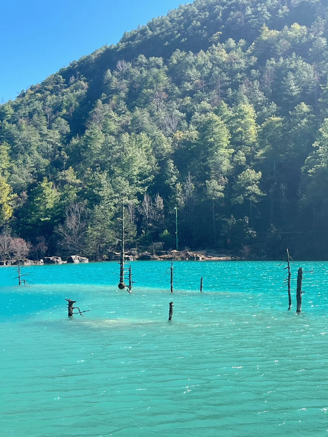 穷游云南，报了个云南纯玩团😓（后续）