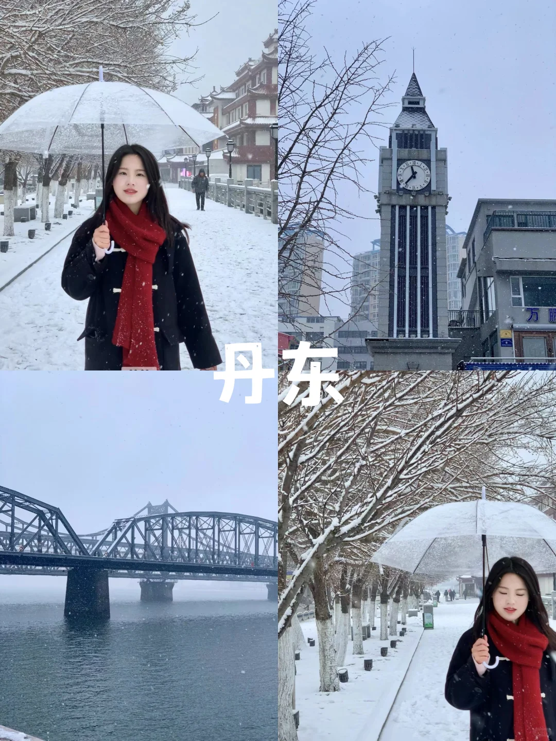 一个人裸辞旅行，一年收获了36000个粉丝🤩