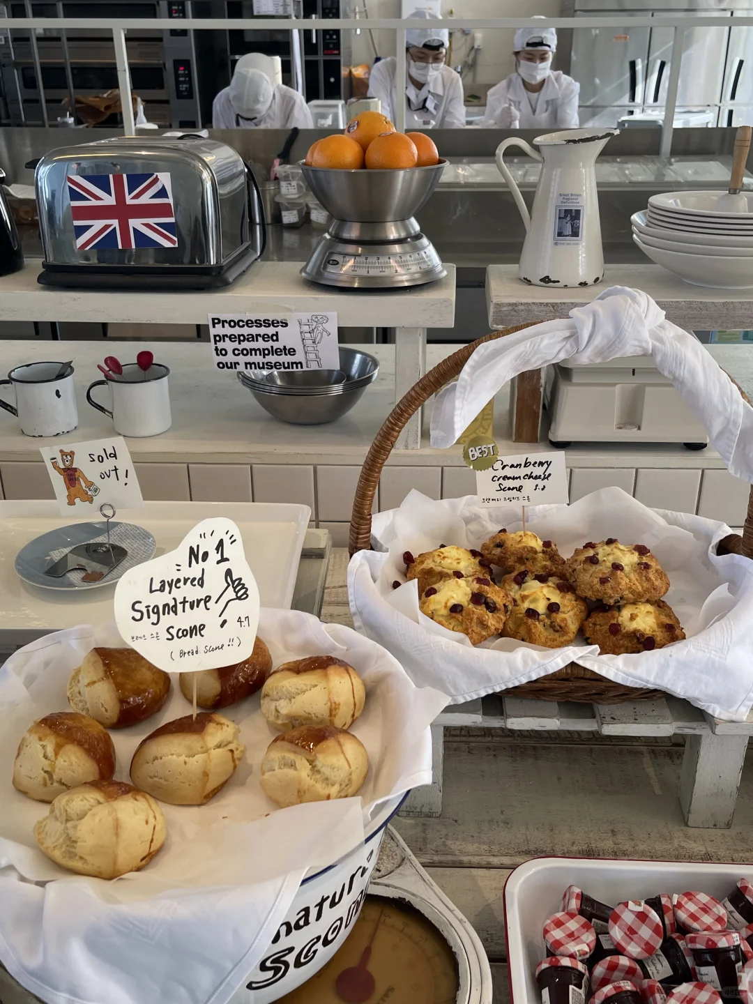 🇰🇷Jeju东线一日游完美攻略