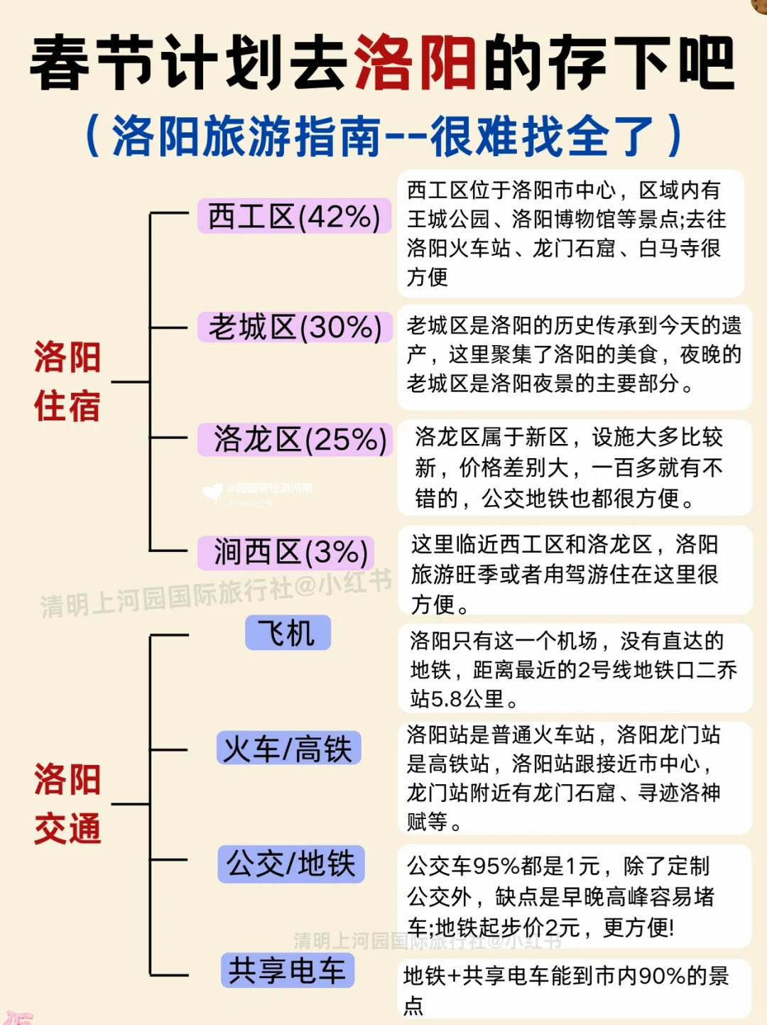 洛阳超实用旅游攻略📌春节带娃来洛阳🥰码住