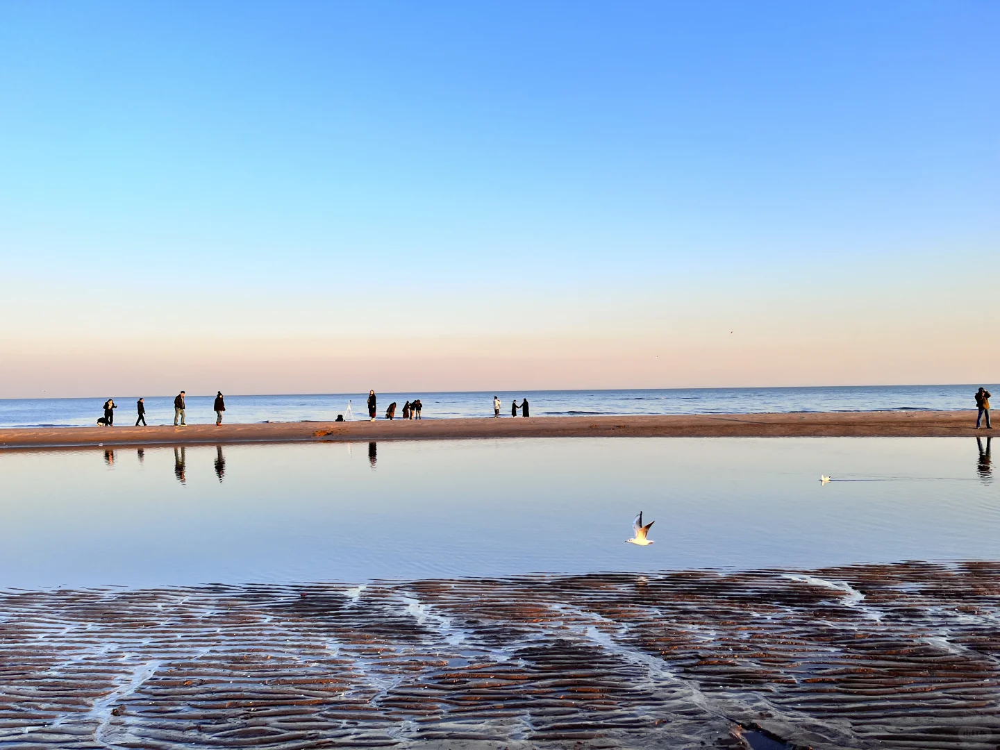 秦皇岛两天一夜旅行景点美食打卡推荐!
