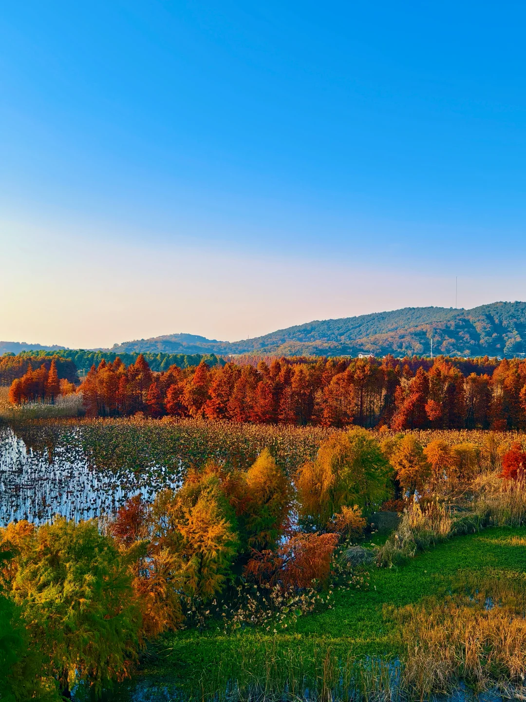 12.15实拍！苏州也有自己的阿勒泰（附位置