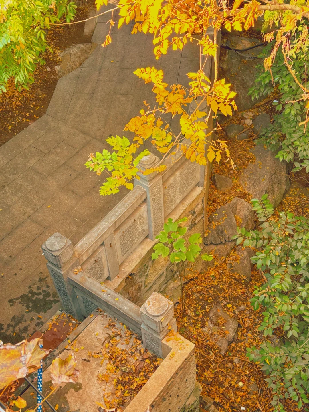 徐州📍两天一夜旅游攻略✔️不踩雷懒人版！