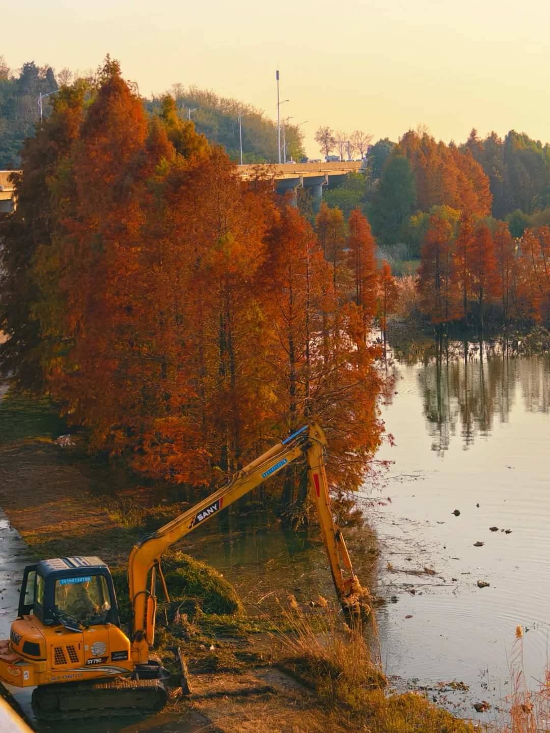 12.15实拍！苏州也有自己的阿勒泰（附位置
