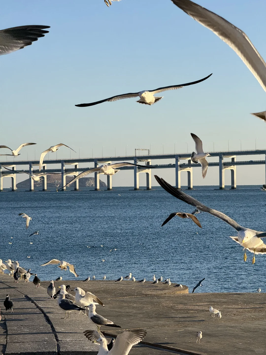 人生建议：冬天一定要去一次大连！！！