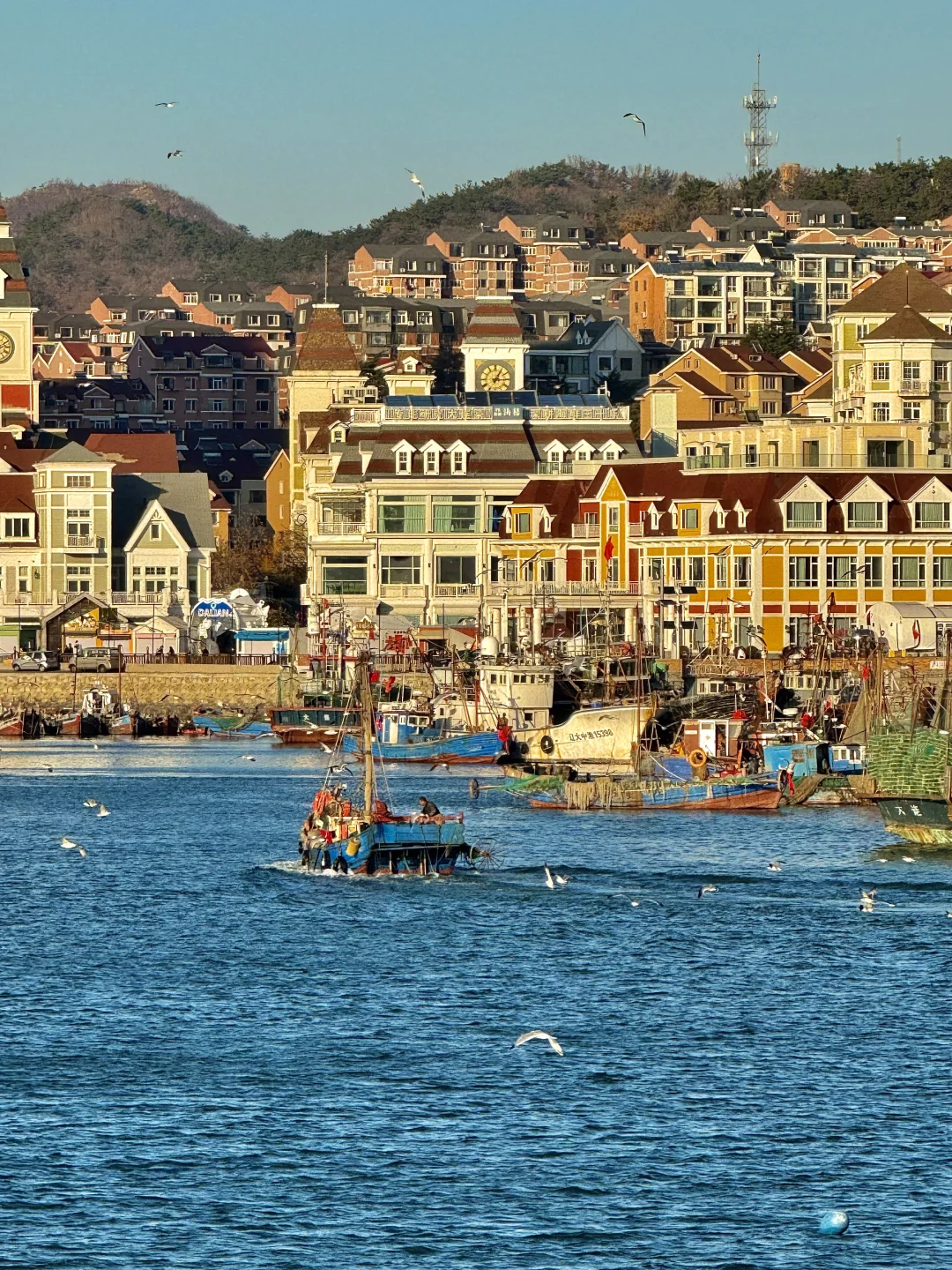 人生建议：冬天一定要去一次大连！！！