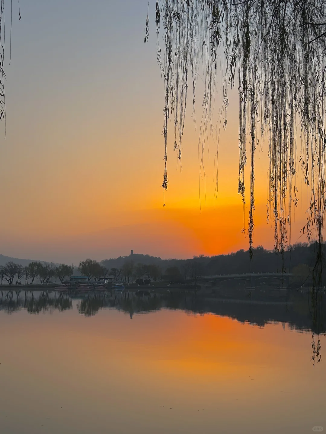 玄武湖＝“原谅世界湖”🌊 南京最大能量场！