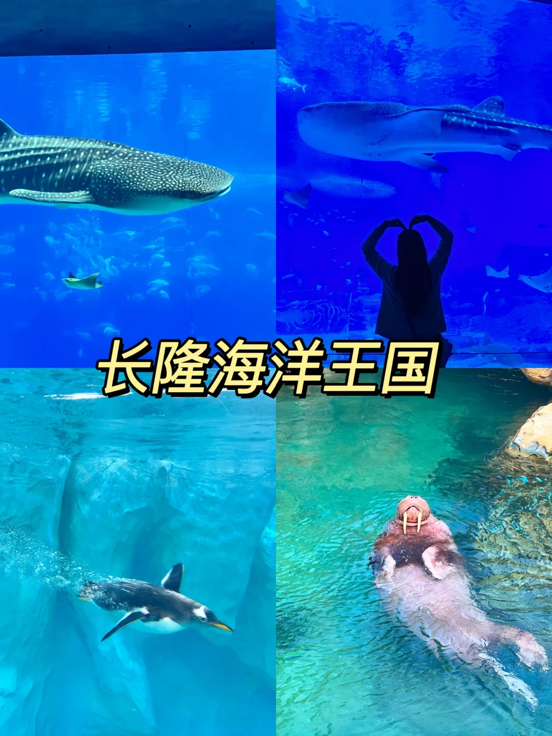 春节爆满？不存在的，反向旅游，拒绝人挤人