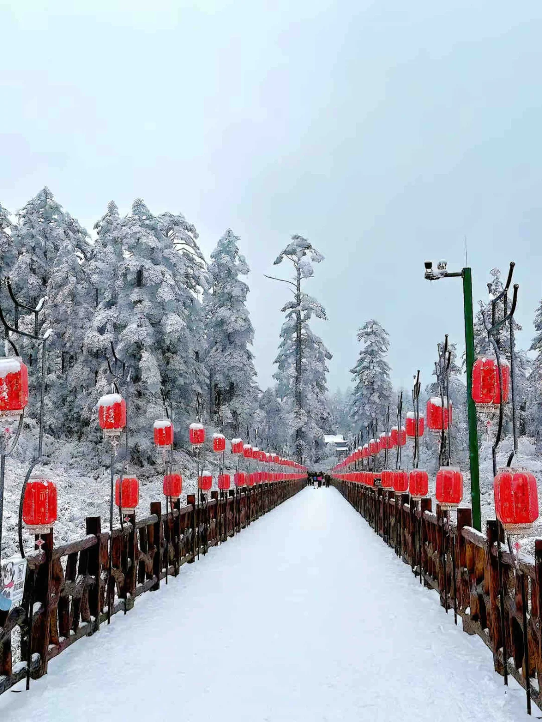 📍人生无解，瓦屋撒野