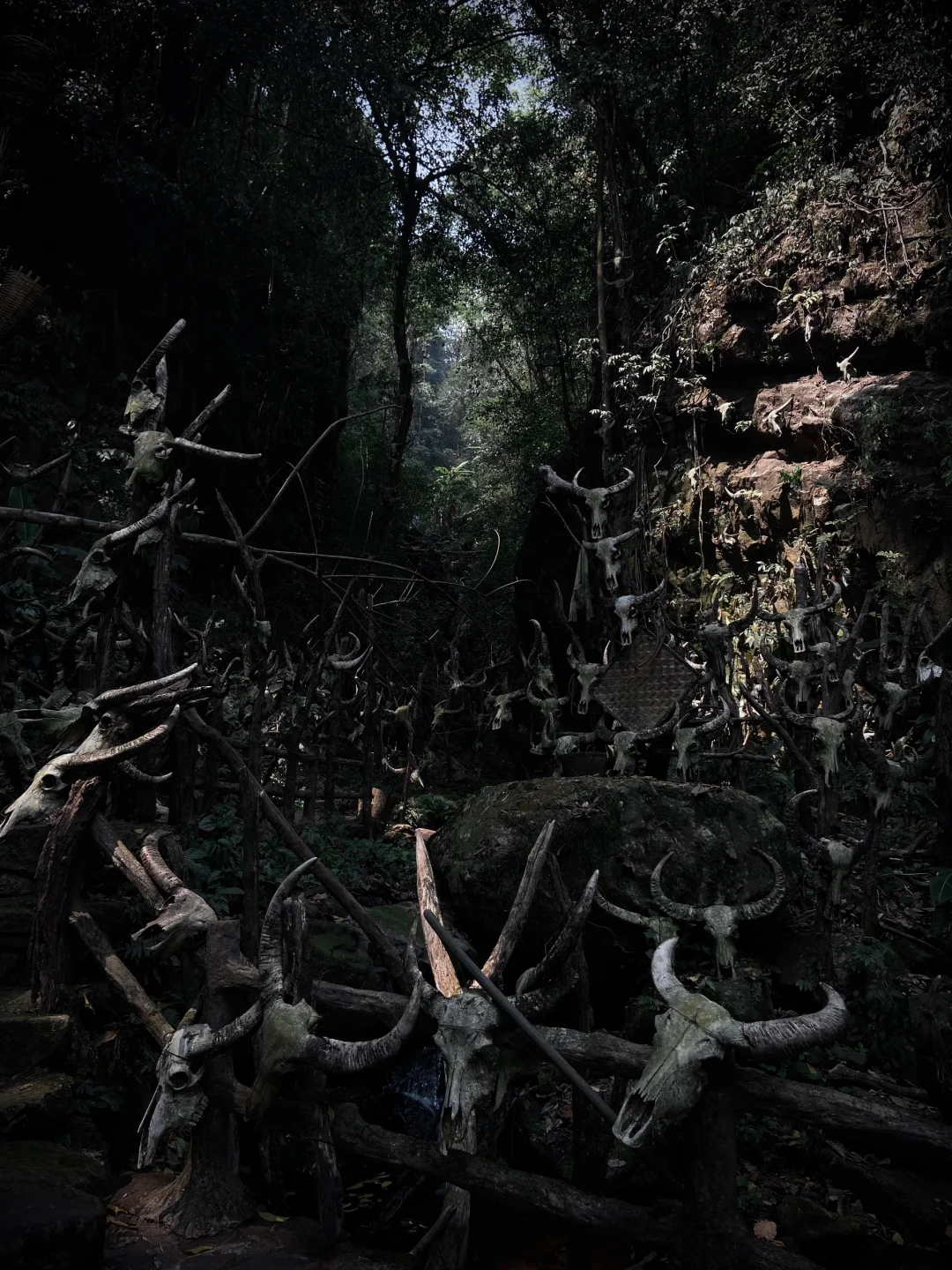 一到冬天,就想去的那些温暖小城(云南篇)