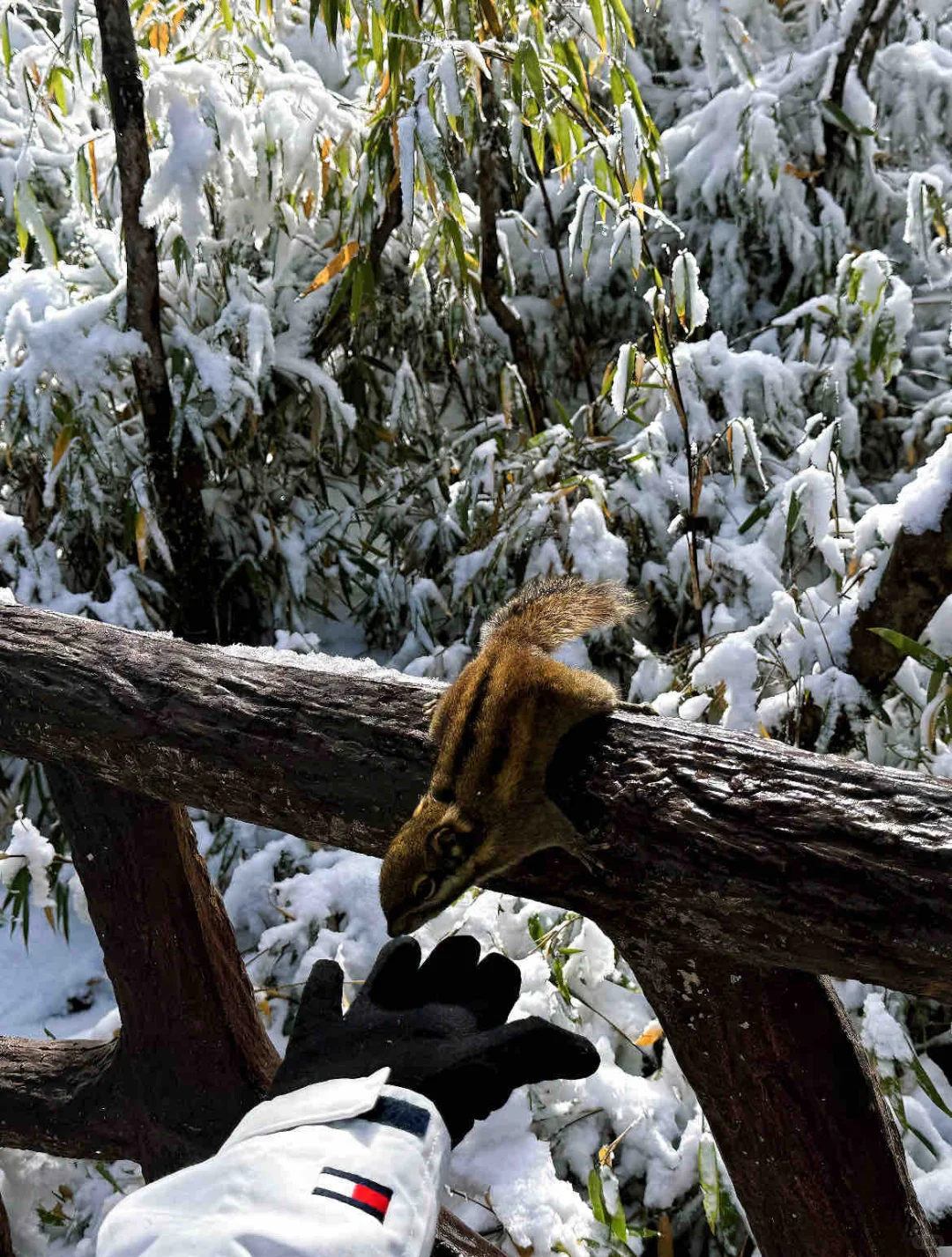 📍人生无解，瓦屋撒野