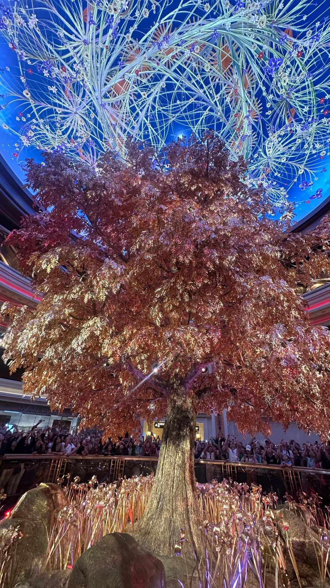 澳门一日游详细路线
