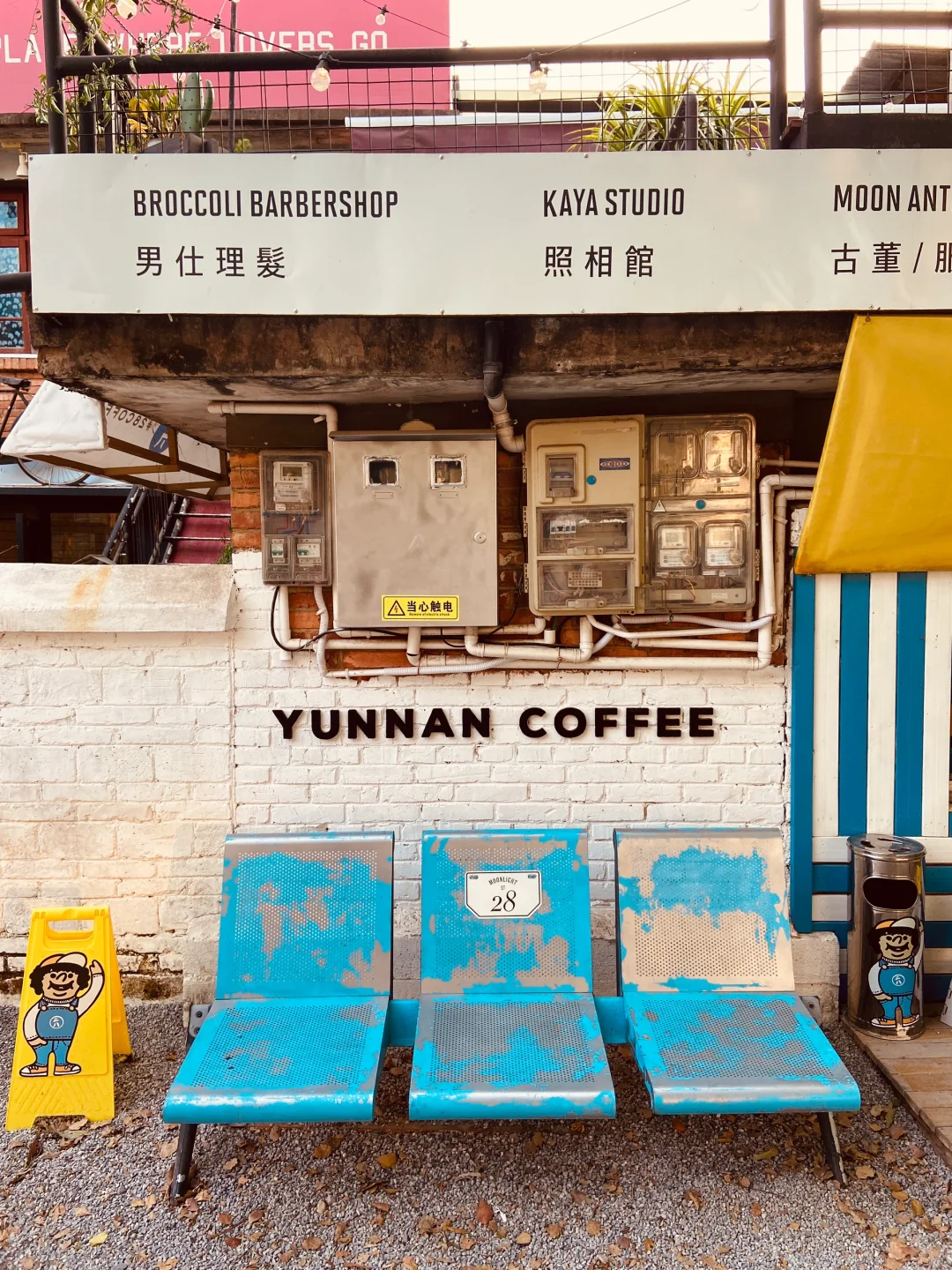 一到冬天,就想去的那些温暖小城(云南篇)