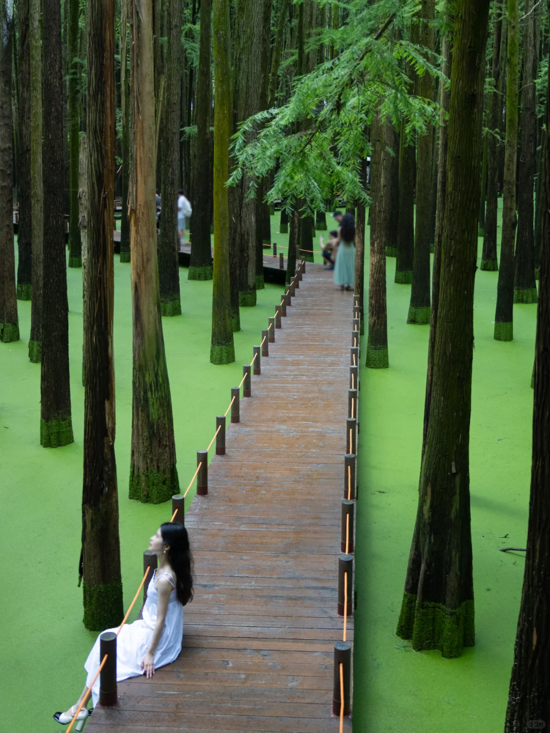 工作3年整理！杭州最全旅游攻略！1篇顶10篇