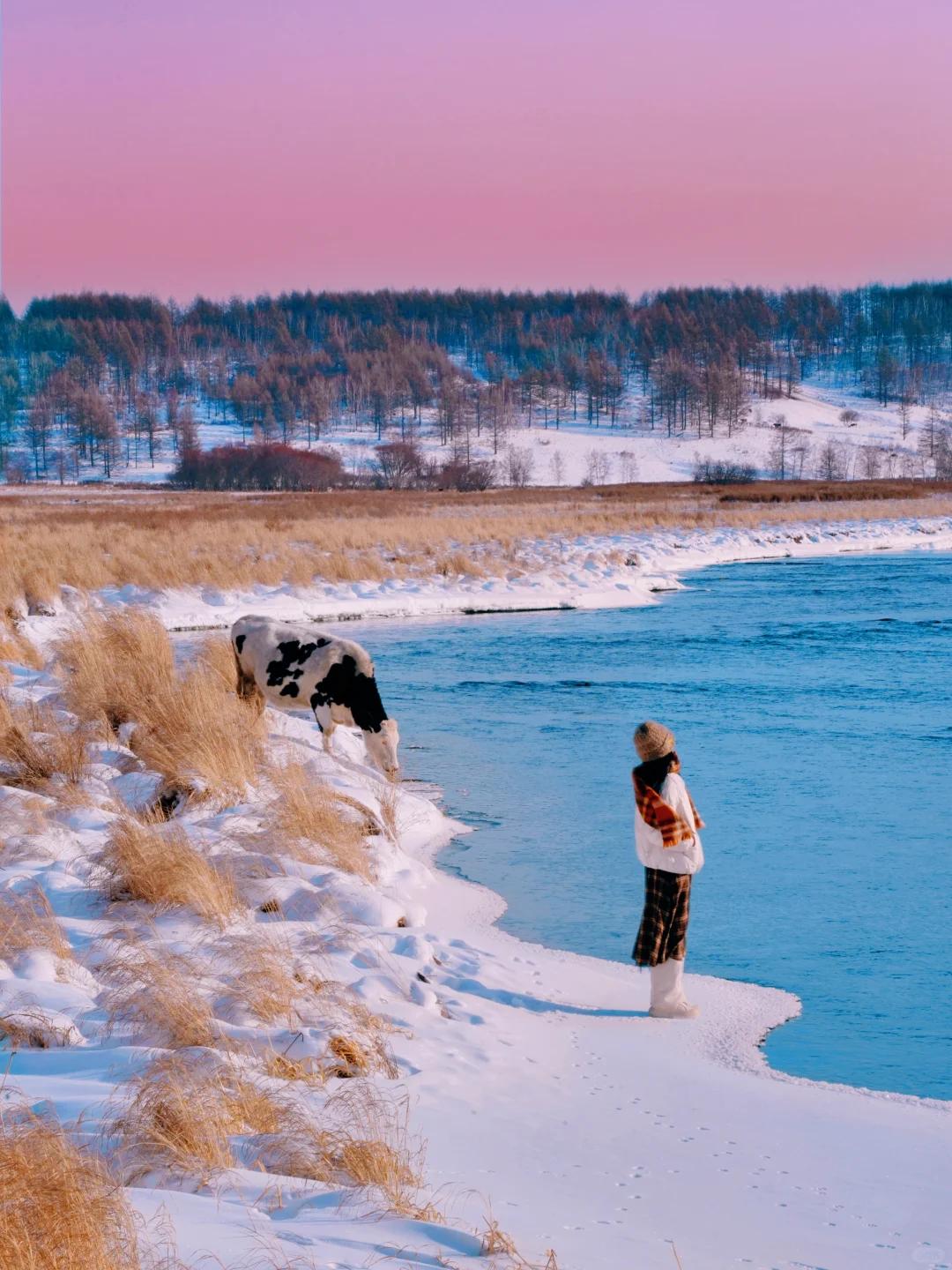 发现一座冬日浪漫小城，live绝了！（附攻略）