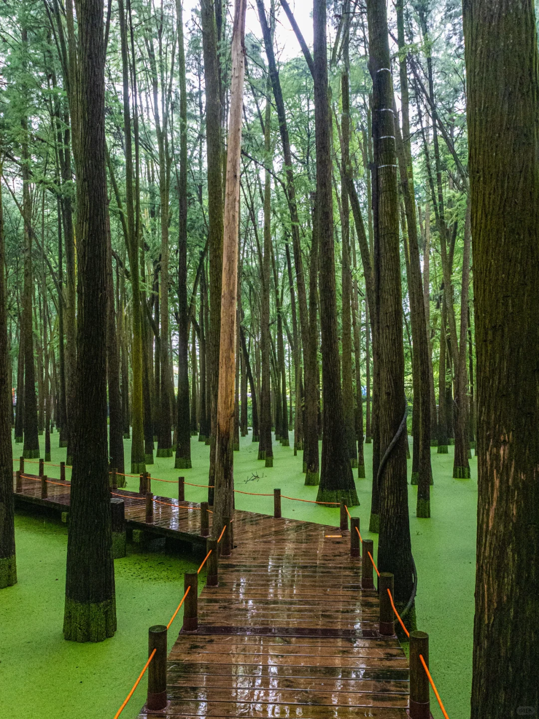 工作3年整理！杭州最全旅游攻略！1篇顶10篇