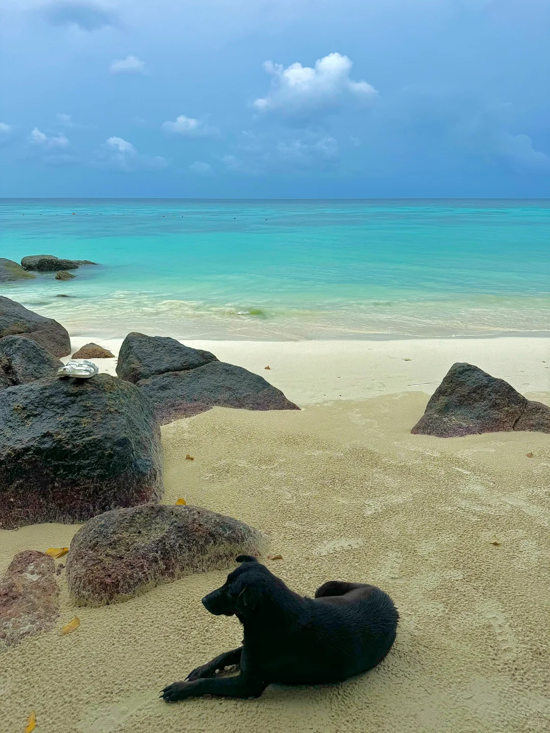 以为泰国已经够美了！直到去了丽贝岛（live版