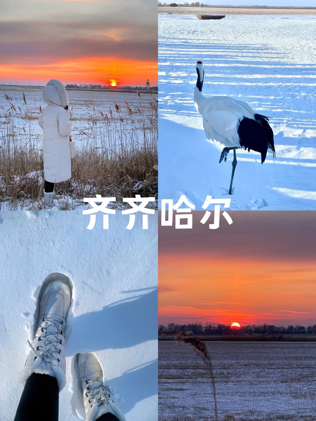 一个人裸辞旅行，一年收获了36000个粉丝🤩