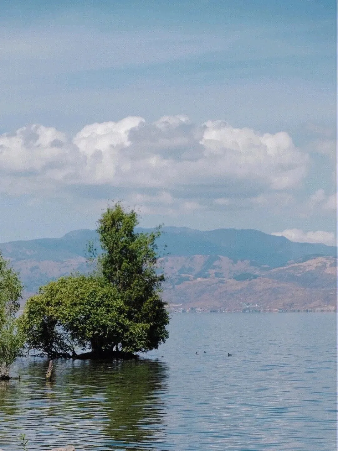 🌅云南旅游攻略6️⃣天玩转热门景点