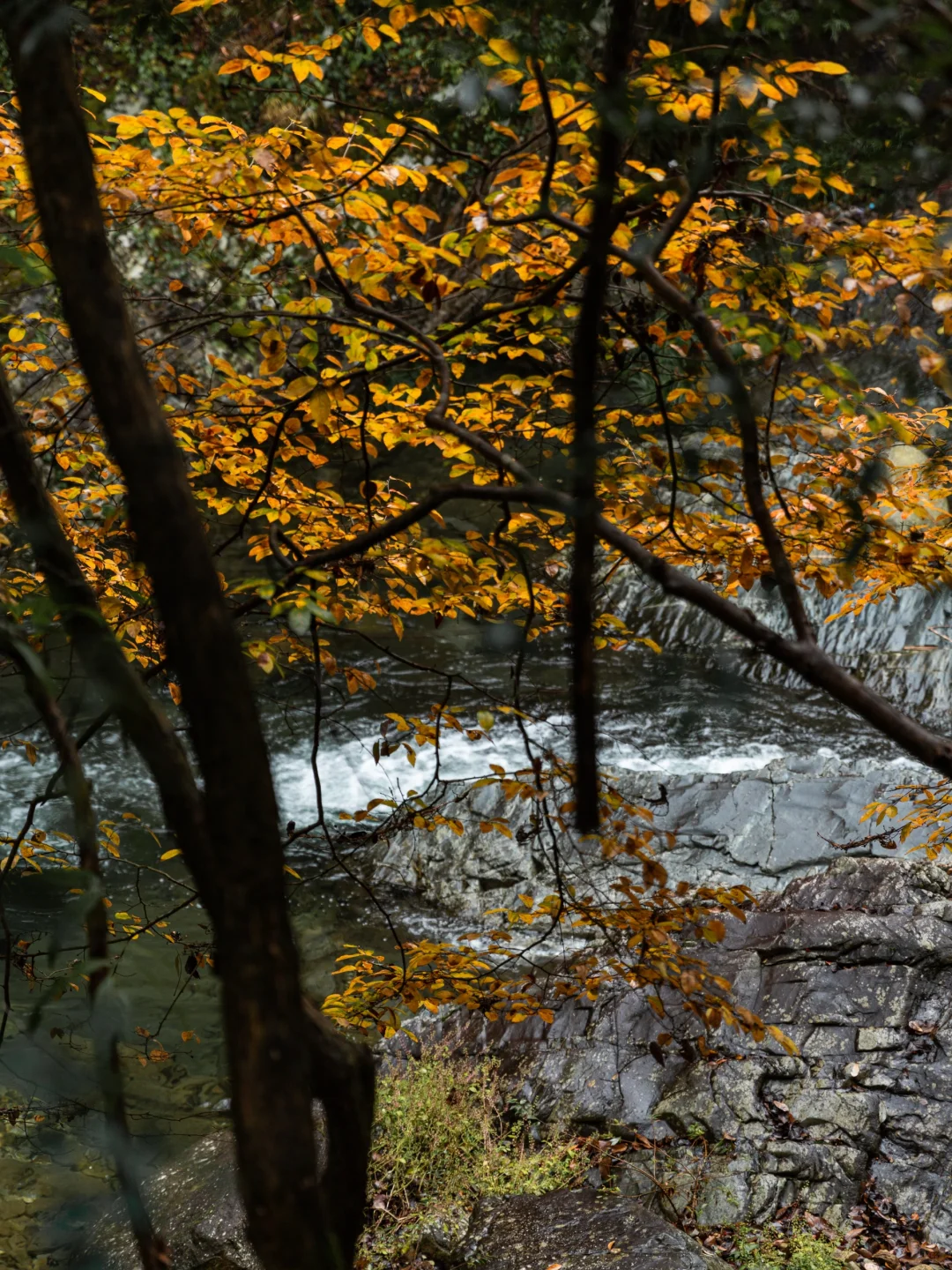 超爱冬天的黄山！！