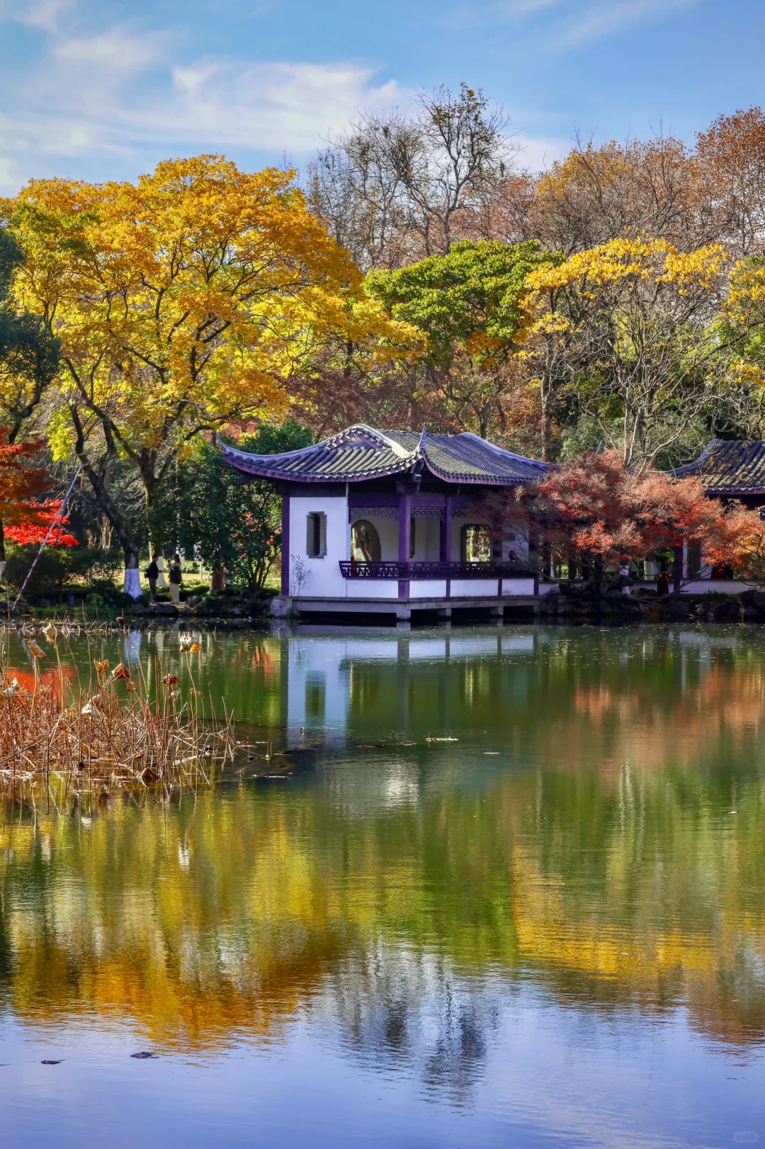 在杭州，我只去这5个地方