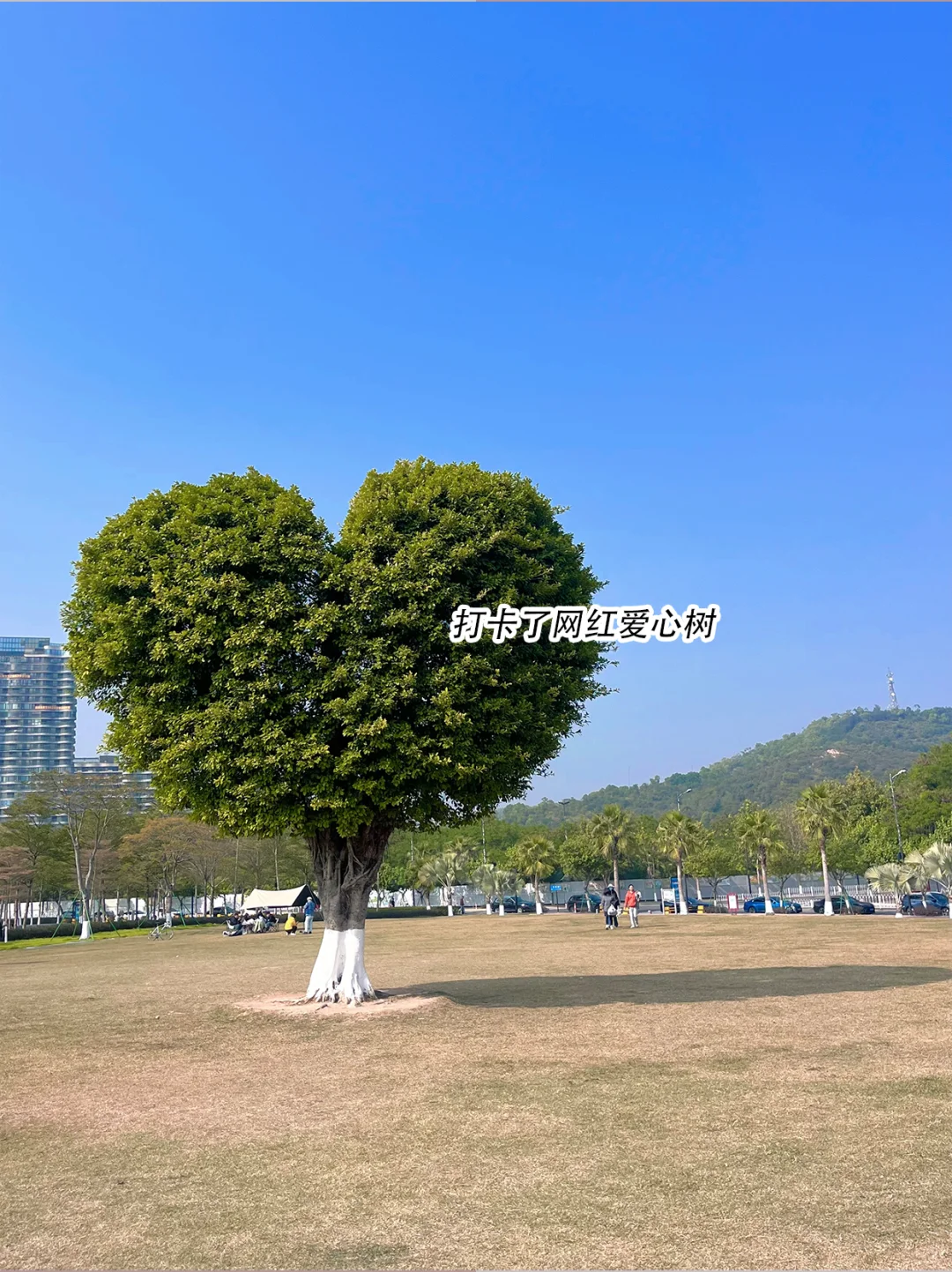 如果没做攻略就去珠海！那这些坑你一定会踩