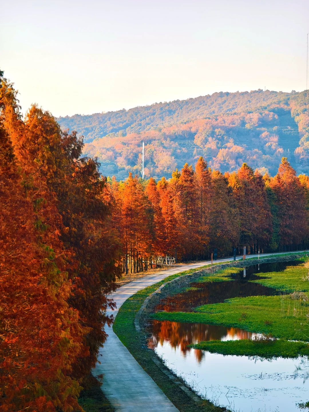 12.15实拍！苏州也有自己的阿勒泰（附位置