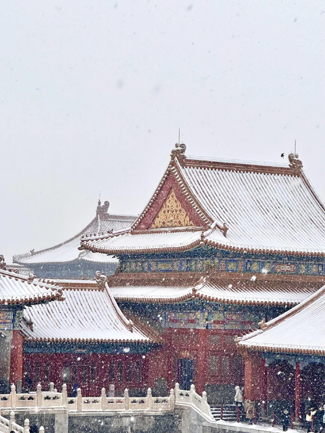 北京现状，1月要去的姐妹尽早改行程...