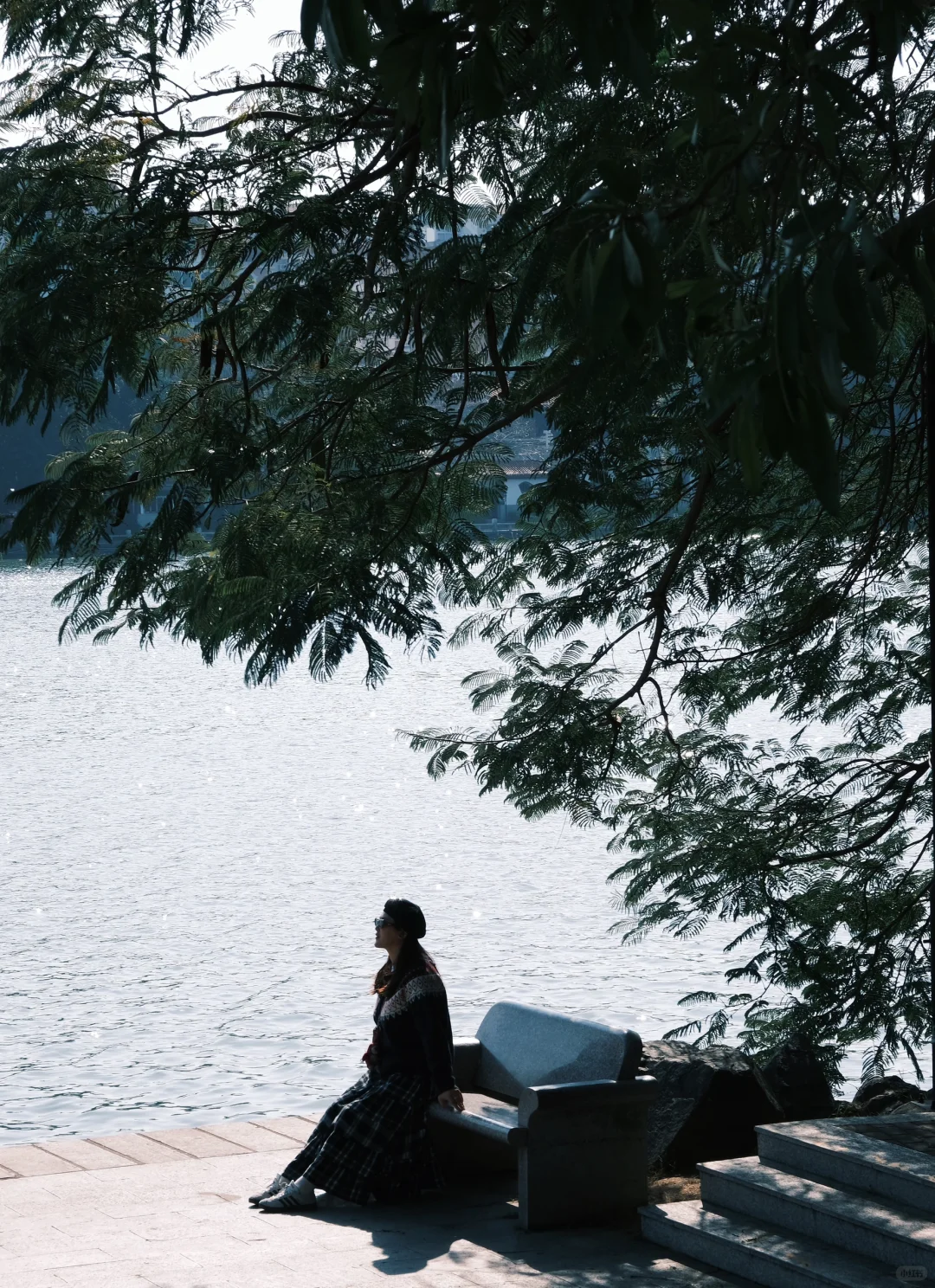 西湖公园｜不可以错过的景点