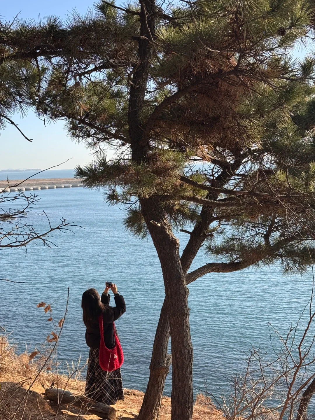 淡季的大连真的是人间理想（18图Live）