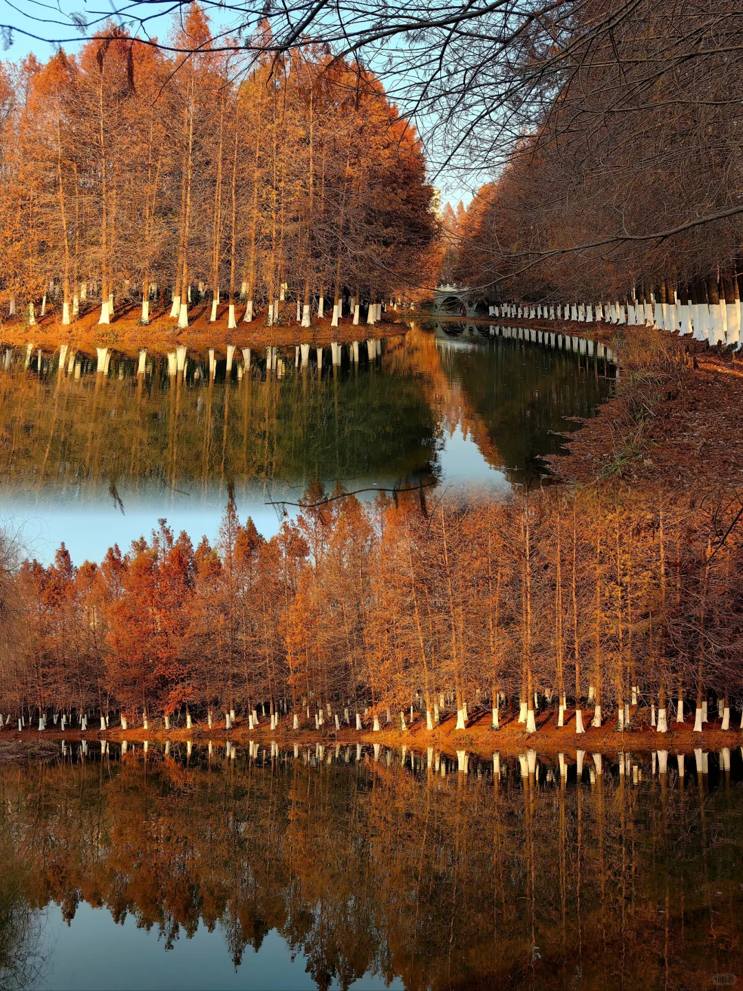 反向旅游｜盐城—盐渎公园
