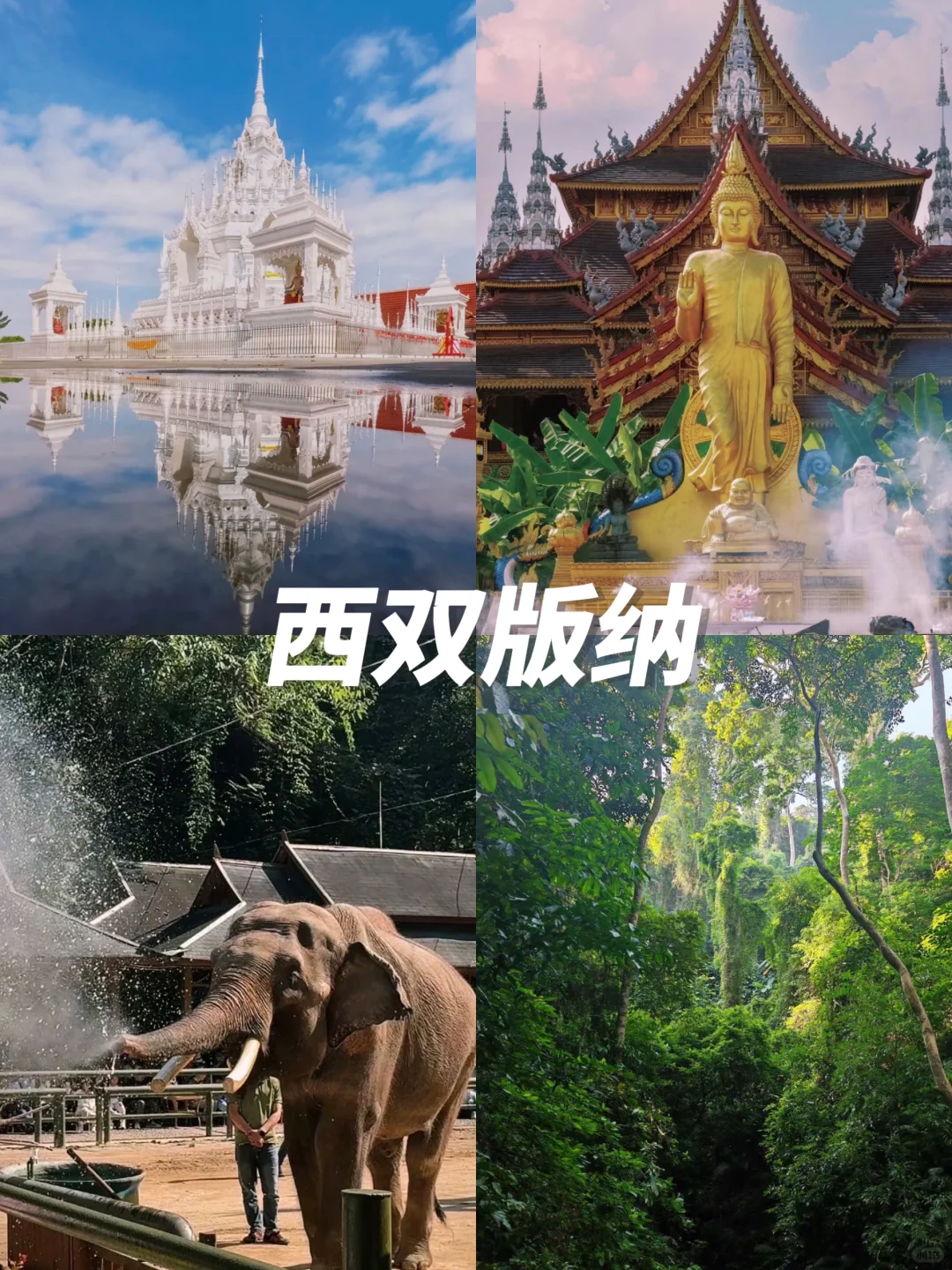 12月避寒反向旅游进👏这9个城市不去后悔‼️