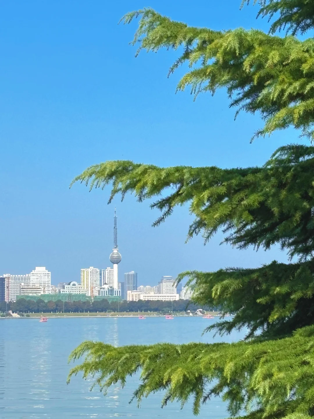 徐州📍两天一夜旅游攻略✔️不踩雷懒人版！