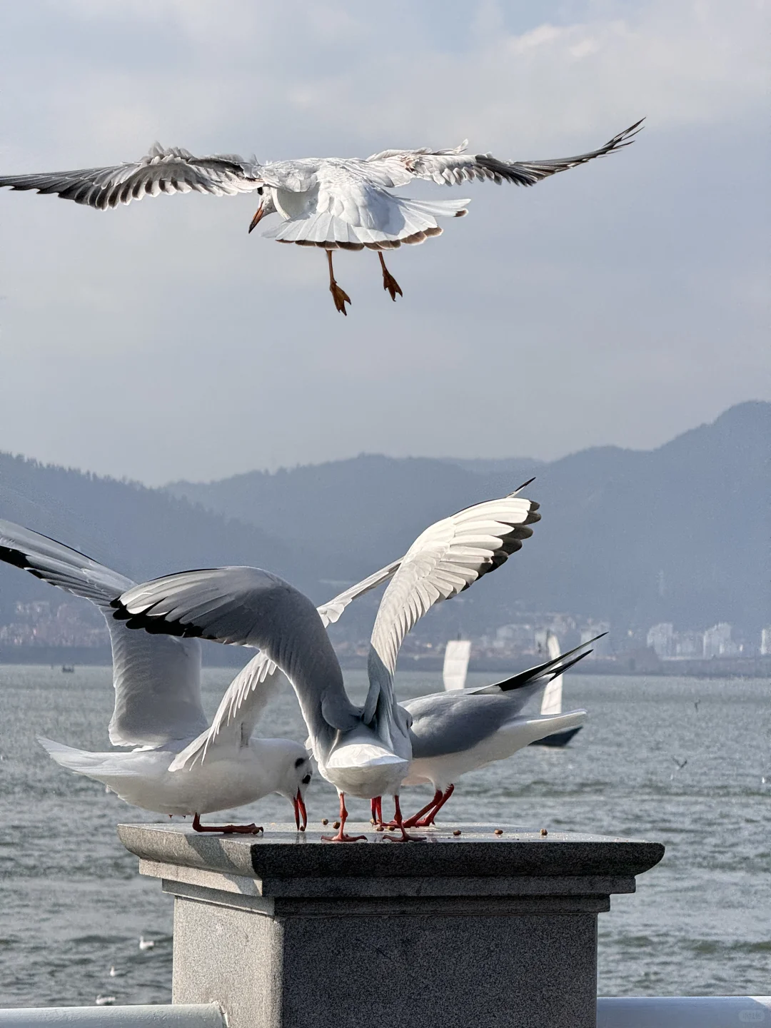 昆明免费景点你值得拥有