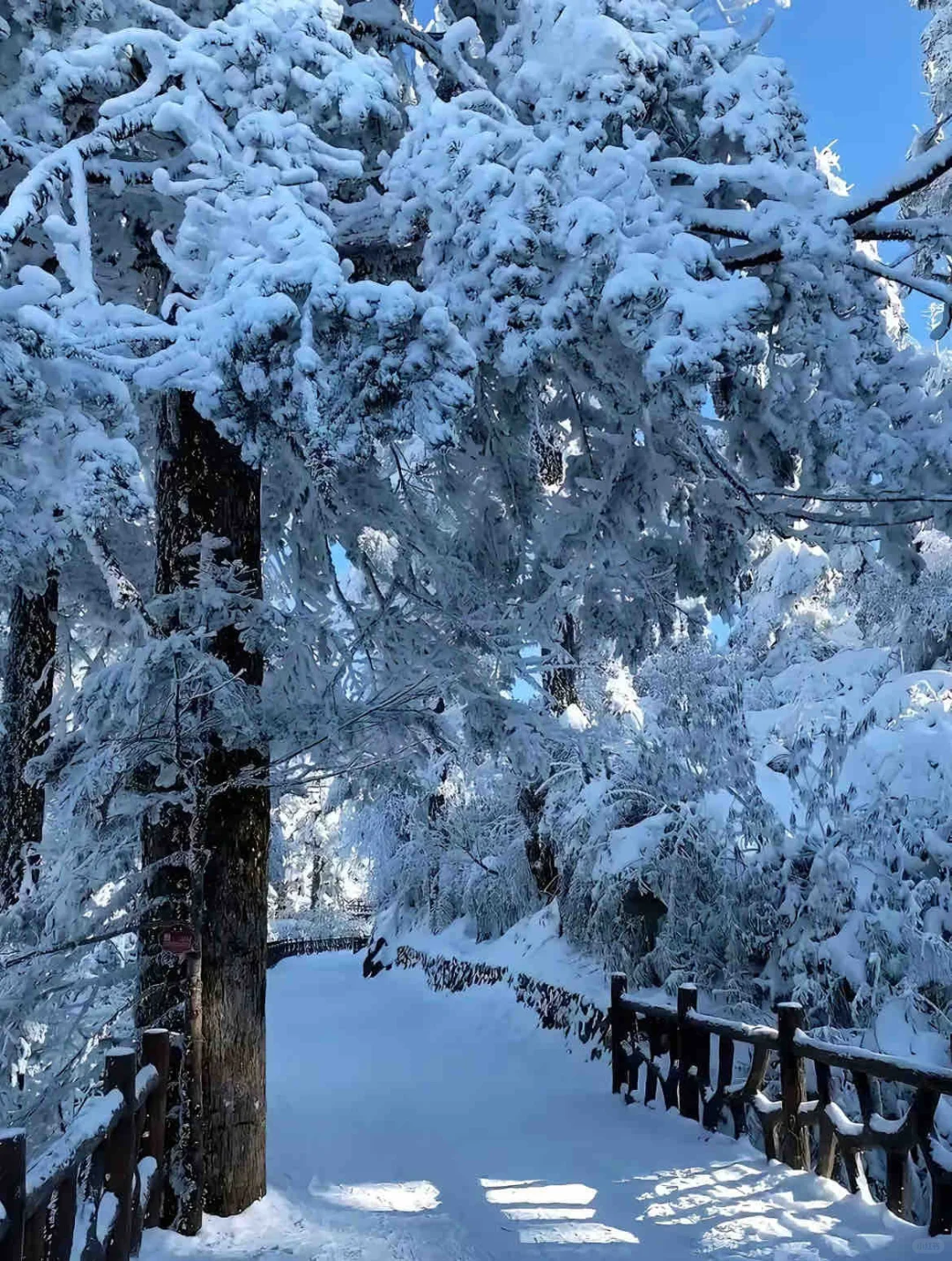 📍人生无解，瓦屋撒野