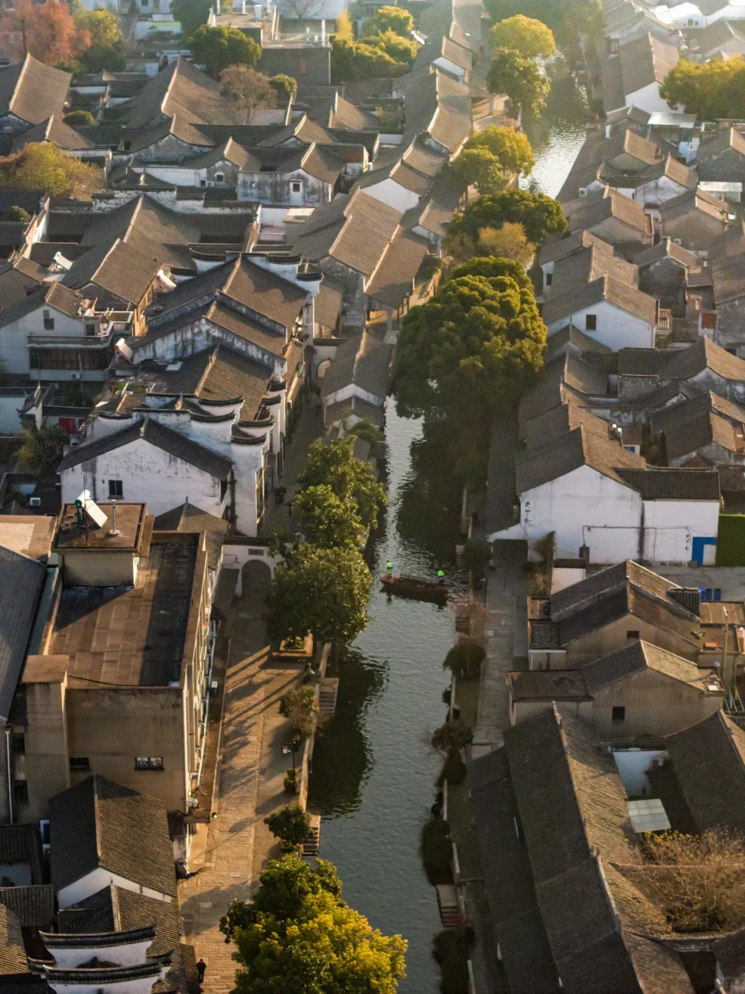 上海0.5h高铁直达 这座千年古镇藏不住了 ！