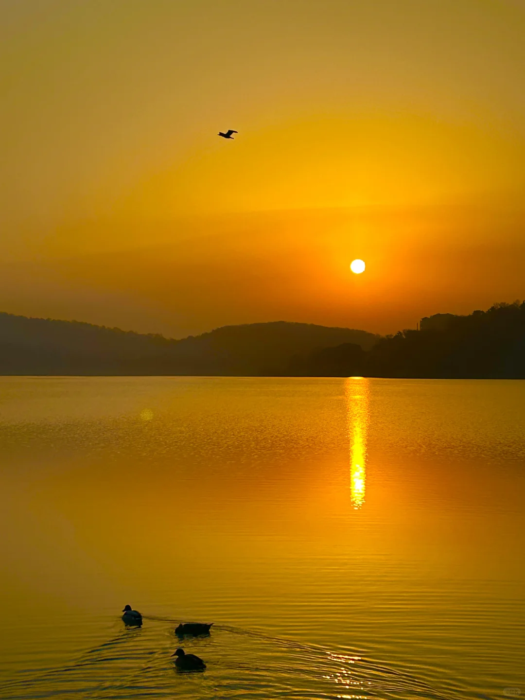 玄武湖＝“原谅世界湖”🌊 南京最大能量场！