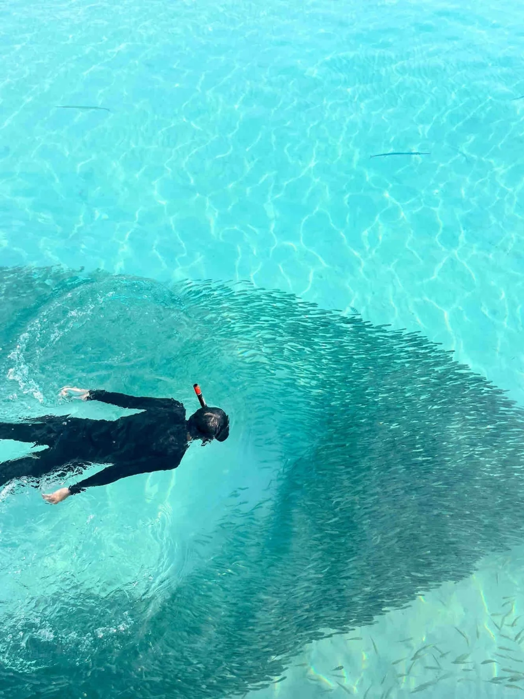 斐济免签没人么...😱春节划算到怀疑人生