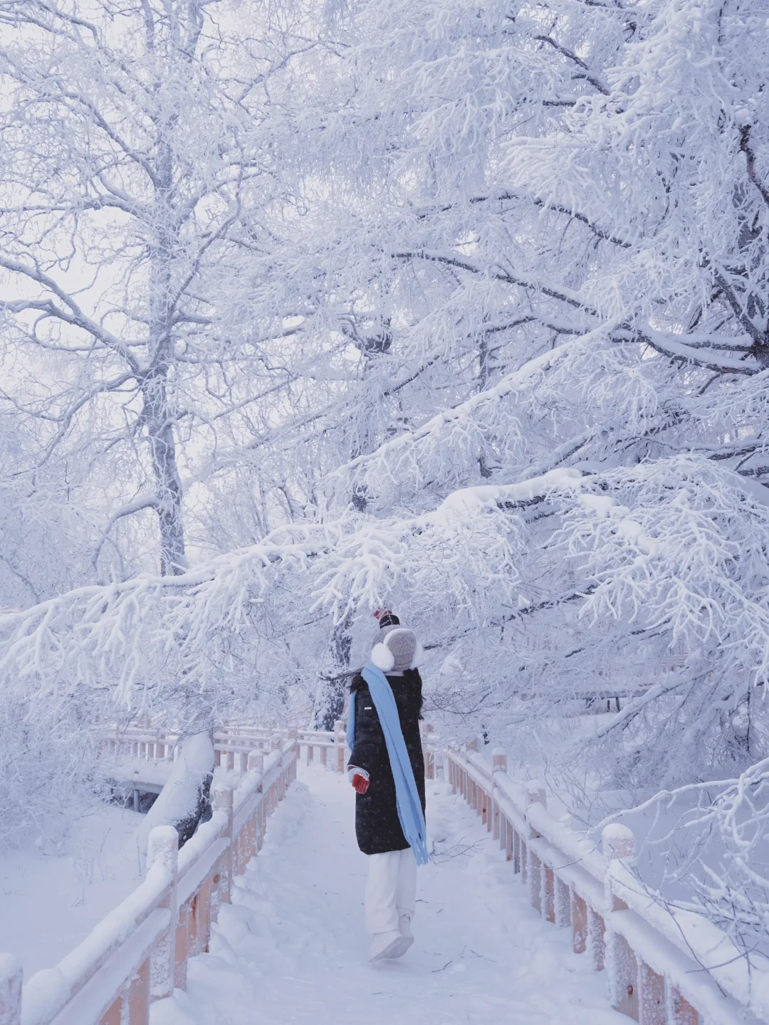 发现一座冬日浪漫小城，live绝了！（附攻略）