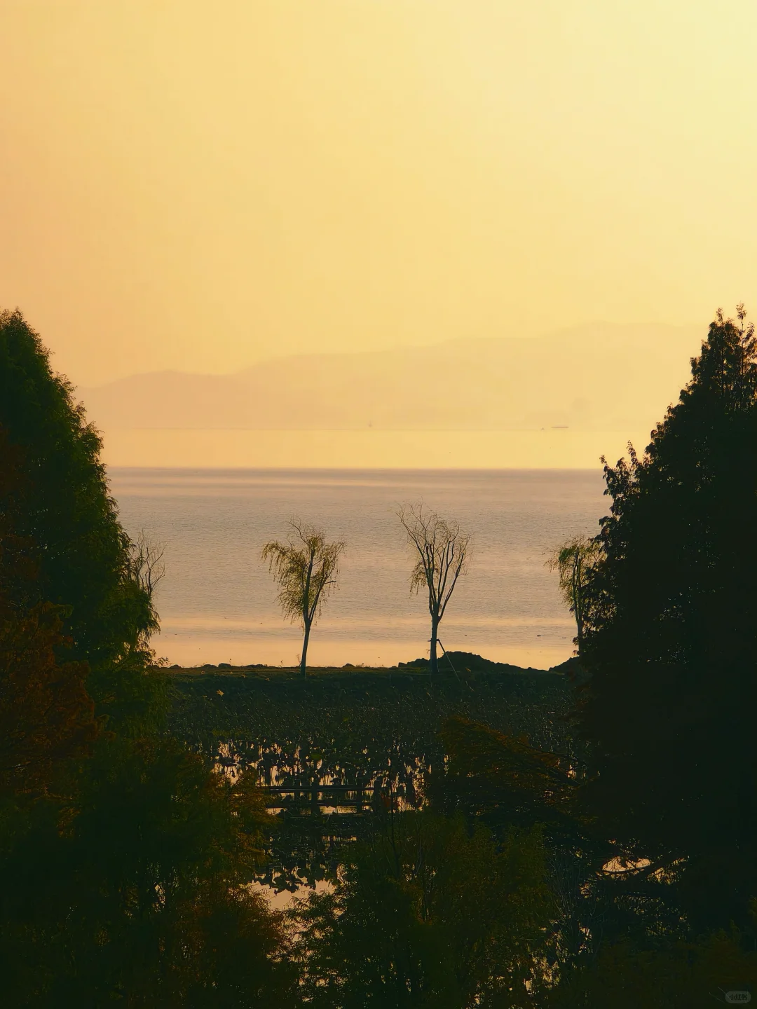 12.15实拍！苏州也有自己的阿勒泰（附位置