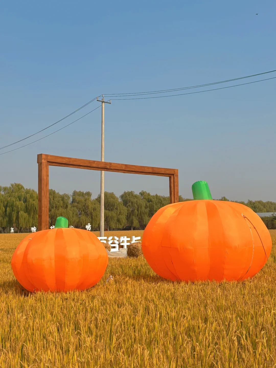 徐州📍两天一夜旅游攻略✔️不踩雷懒人版！