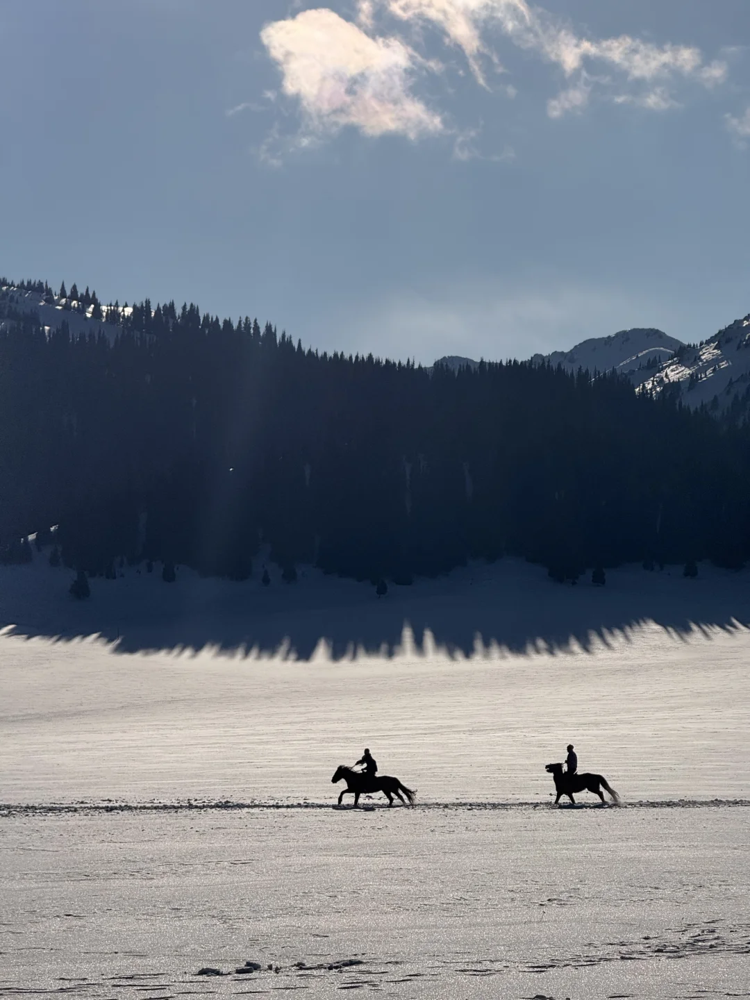 1.2今日赛里木湖实况，终于看到了雪地天鹅