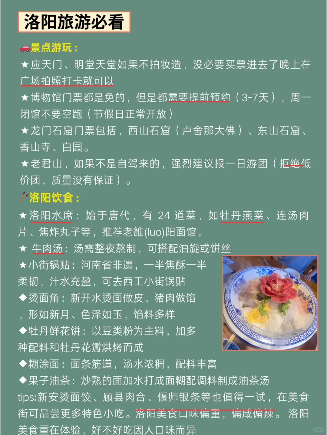 真的有被朋友做的洛阳攻略惊艳到😲