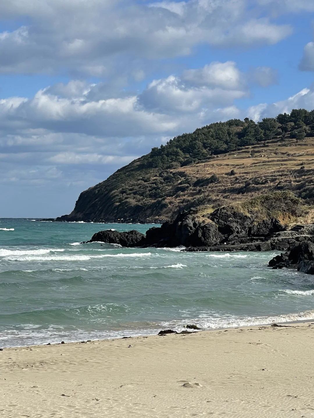 🇰🇷Jeju东线一日游完美攻略