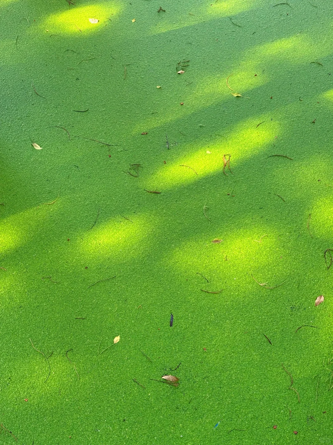 徐州📍两天一夜旅游攻略✔️不踩雷懒人版！