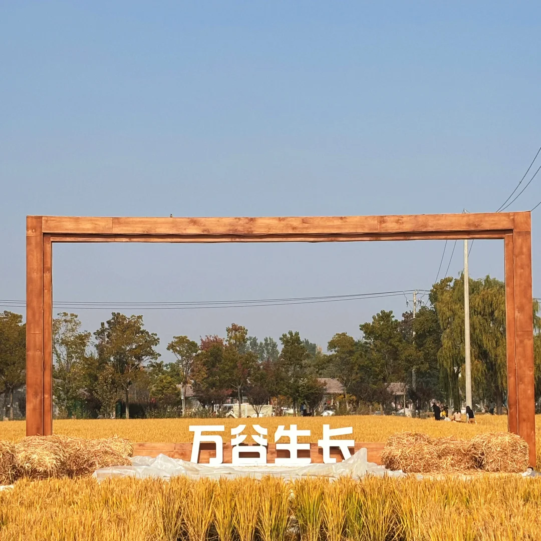 徐州📍两天一夜旅游攻略✔️不踩雷懒人版！