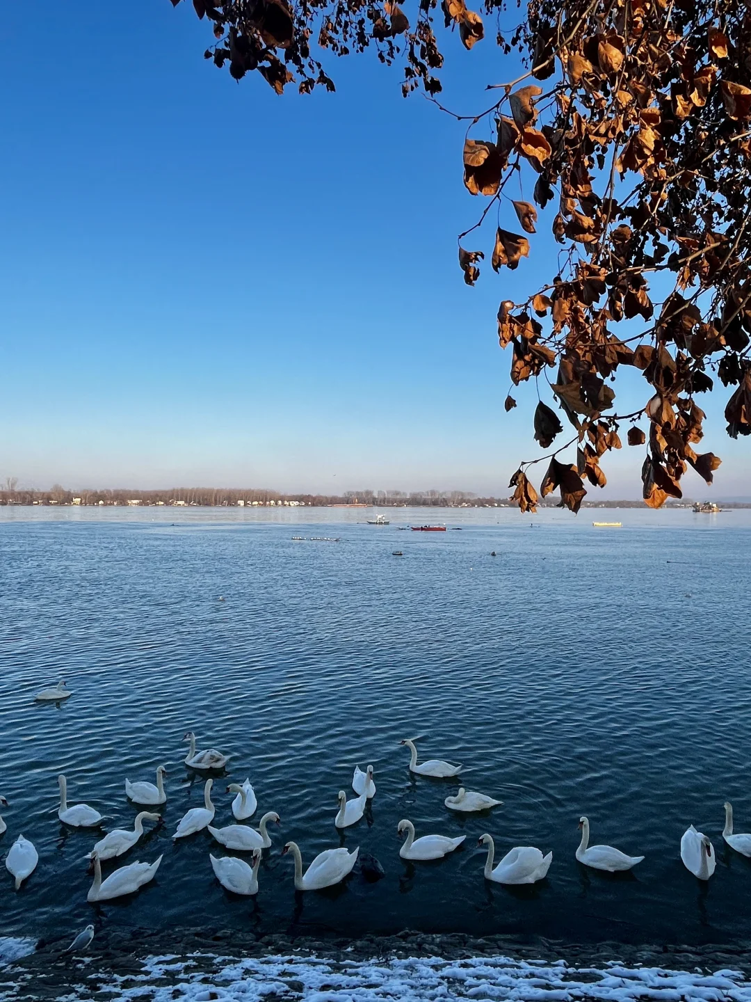 免签欧洲国-塞尔维亚3天2晚452元+攻略