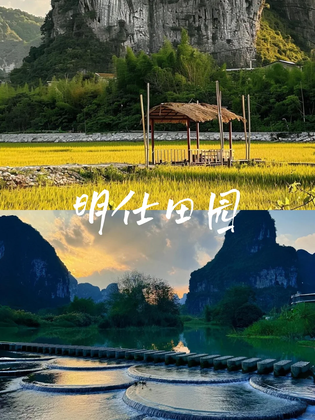 我也不想去广西，可崇左也太适合冬季旅游了