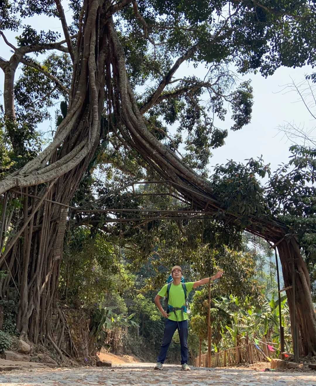一到冬天,就想去的那些温暖小城(云南篇)